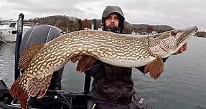 Pesca a Spinning ai GRANDI LUCCI del Lago Maggiore - Big Pike Fishing