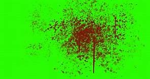 Blood Splatter on the Wall - Green Screen Animation
