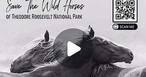 Arielle Kebbel on Instagram: "Today is the last day ~ We need 100,000k signatures so we can hand deliver to ND politicians to save the wild horses in Theodore National Park. This is a life changing moment for the history of this park and for these wild horses. Pls help keep them wild. Sign and share. Link in bio. #repost @thismustanglife ・・・ Link in bio!"