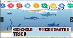 See google in water with google underwater search trick || try now google hidden search trick