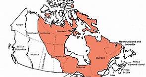 llᐈ ¿Qué es el Escudo Canadiense? | Características-Actividades