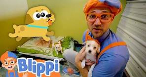 Blippi Pets Cute Animals in the Shelter! | Educational Videos for Kids