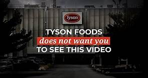 Tyson Foods does not want you to see this video ❘ The Humane League