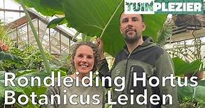 Rondleiding de Hortus Botanicus Leiden | Tuinplezier