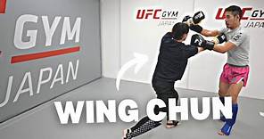 Muay Thai vs Wing Chun Sparring
