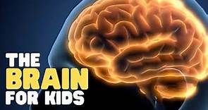 The Brain for Kids | Learn cool facts about the human brain