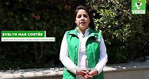 Conoce la plataforma del Partido Verde Ecologista de México para la elección 2021