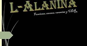 La Alanina: Funciones, Excesos, Carencias y CDR [Aminoácido No Esencial]