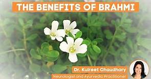 The Benefits of Brahmi