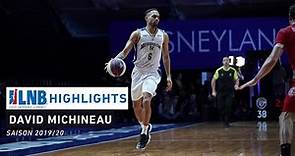 LNB Highlights : DAVID MICHINEAU (2019-2020)