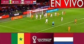 🔴Donde Ver Senegal Vs Holanda En Vivo Partido Hoy Países Bajos Mundial Qatar 2022