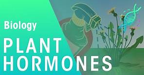 Uses of Plant Hormones | Plants | Biology | FuseSchool
