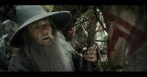 Gandalf, Bilbo y Los Enanos Llegan al Bosque Negro | El Hobbit: La Desolación de Smaug (Latino)