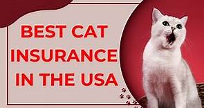 Best Cat Insurance in the USA [Reviews] | Top 5 Pet Insurance for CATS, kitten insurance.