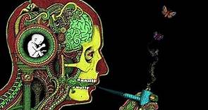 Former pot smokers: does past exposure affect your brain today?