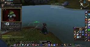 Sea Turtle fishing location - World of Warcraft classic WOTLK