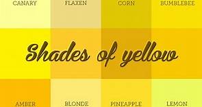 Yellow Colour Shades - Shades of Yellow - Different Shades of Yellow