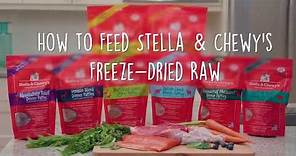 How to Feed Stella & Chewy's Freeze Dried Raw Patties Dog Food