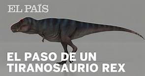 El paso de un Tiranosaurio Rex
