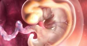 Inside Pregnancy: Weeks 1-9 | BabyCenter