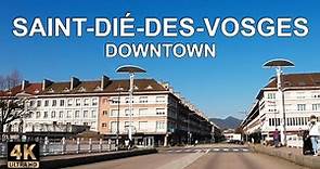 Saint-Dié-des-Vosges 4K 🌲 Driving Downtown