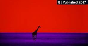 Pete Turner, Whose Color Photography Could Alter Reality, Dies at 83