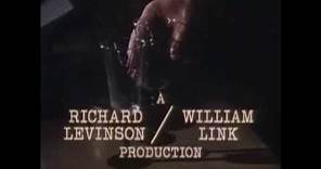 Richard Levinson/William Link/Robert Papazian/Polygram TV/King Features Entertainment (1982/1985)