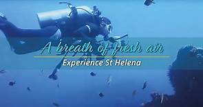 Experience St Helena