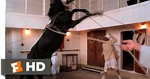 The Black Stallion (1/11) Movie CLIP - Alec Meets the Stallion (1979) HD