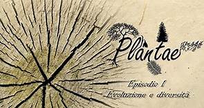 Plantae - Episodio I: l'evoluzione e la diversità delle piante terrestri