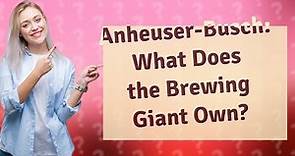 What does Anheuser-Busch own?