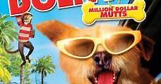 Dr. Dolittle 5: El perro del millón de dólares (2009) Online - Película Completa en Español - FULLTV