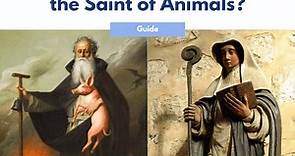 4 Patron Saints of Animals and Pets | Safe Passage