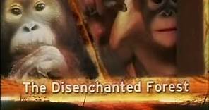 Disenchanted Forest (Trailer)
