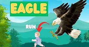 All About Eagles: Fun Facts and Amazing Features for Kids | Lesson For Kids On Eagles