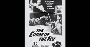 The Curse Of The Fly (1965) - Full Movie
