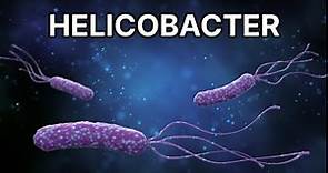 Helicobacter pylori - diagnóstico, tratamiento, síntomas y complicaciones