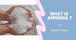 What Is Ammonia ?