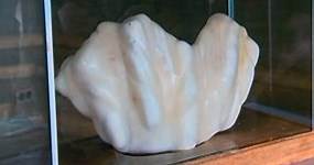 A Filipino fisherman may have found the world’s largest pearl