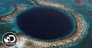 What is a Blue Hole? | Discovery LIVE: Into the Blue Hole