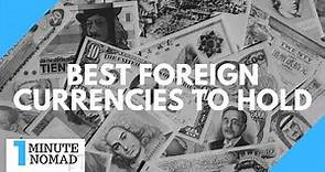 Which Foreign Currencies Should I Hold? | #OneMinuteNomad