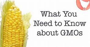 What You Need to Know about GMOs