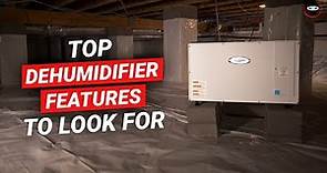 Best Crawl Space Dehumidifier Features to Look For