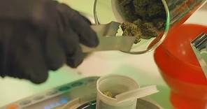 Recreational marijuana sales at Exclusive Ann Arbor