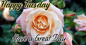 Happy Tuesday, Good Morning Wishes and Quotes, Happy & Blessed Tuesday