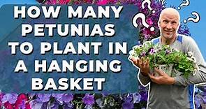 How Many Petunias to Plant in a Hanging Basket