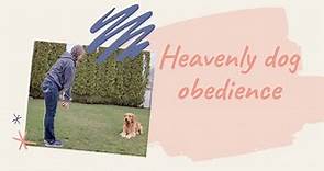 Heavenly dog obedience dog training classes