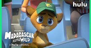Baseball Game | Madagascar A Little Wild • A Hulu Original