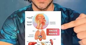 Vagus nerve Stimulation maneuver