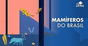 Lista de Mamíferos do Brasil